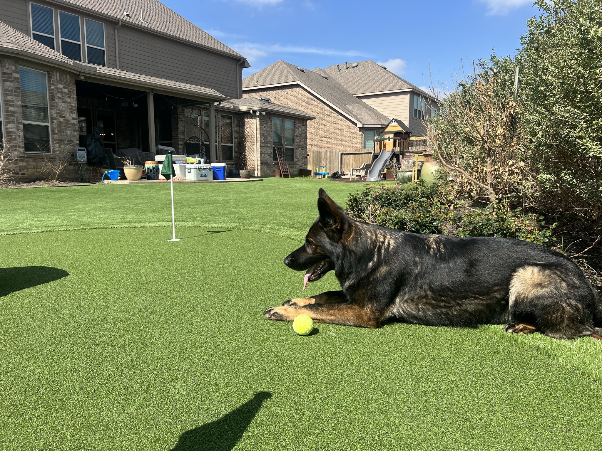 Pet Turf