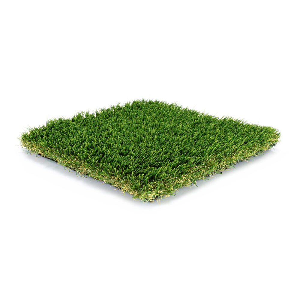 coastal-blend-pro-1-a